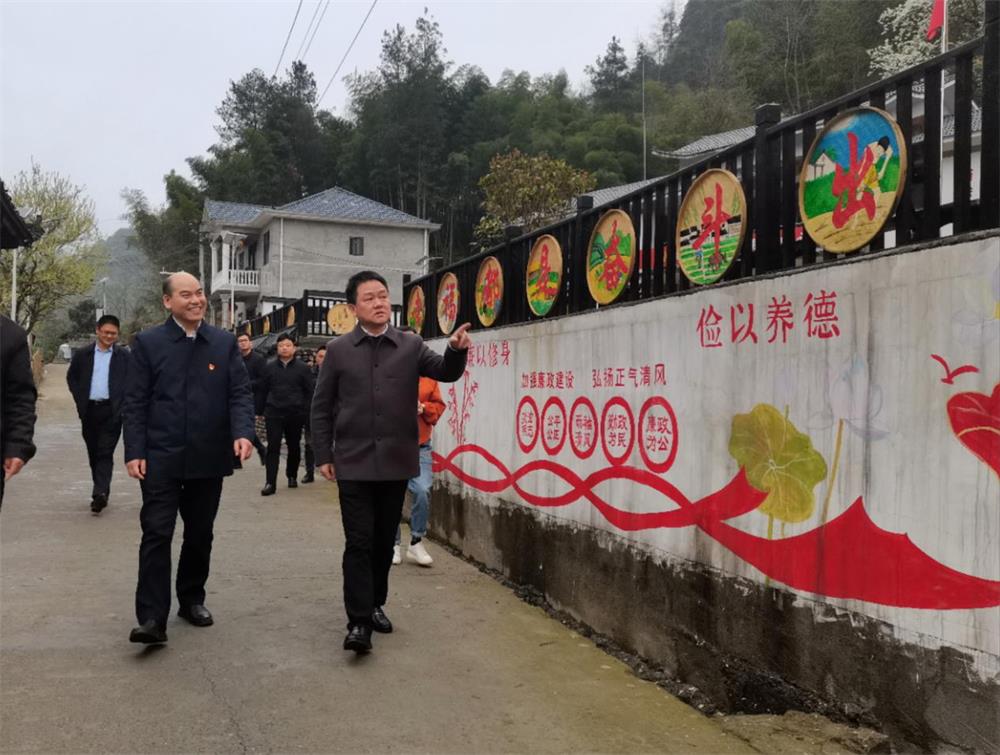 肖亦农率队赴鹿鸣溪村调研乡村振兴工作